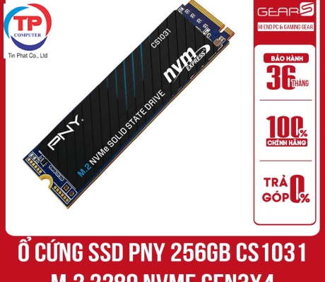 SSD PNY CS1031 M.2 2280 256GB GEN 3X4